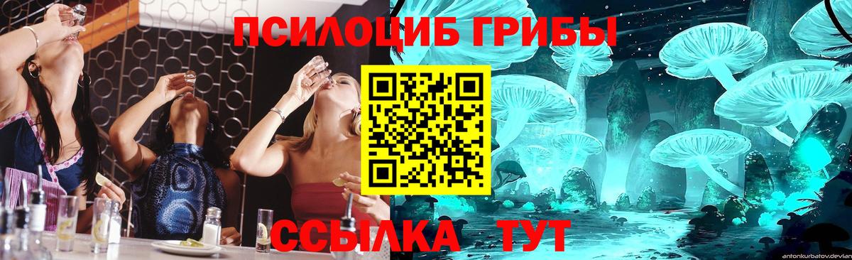 Галлюциногенные грибы MAGIC MUSHROOMS Междуреченск