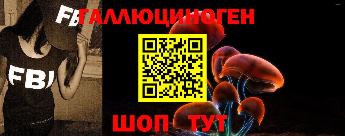 Псилоцибиновые грибы Psilocybe  Вход с VPN  Междуреченск 